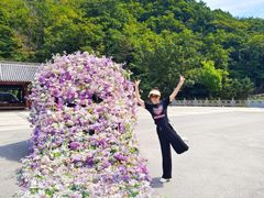 -丹东凤凰山景区