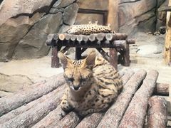 -波塞冬旅游度假区