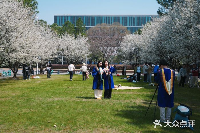 同济大学(嘉定校区)图片