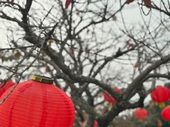 -厦门园林博览苑