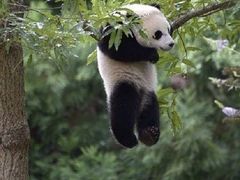 -杭州野生动物世界