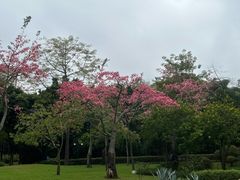 -晓港公园