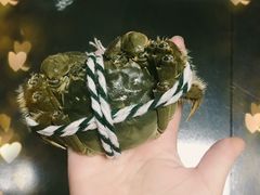 -珍宝蟹舫·巴城味道(巴城总店)
