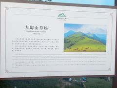-大姆山草场