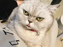 -Oasis绿洲银饰珍珠手作diy(壹方城店)