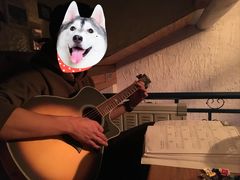 -Sirena海妖日咖夜酒