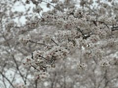 -苏州上方山国家森林公园