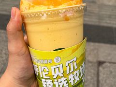 -茉酸奶(春熙路店)