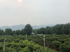 -那家山城(樱桃园店)