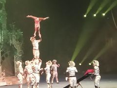 -广州长隆国际大马戏