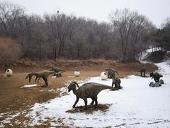 -北京张裕爱斐堡酒庄
