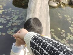 -南通洲际绿博园