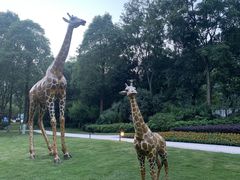 -海兰云天度假区温泉