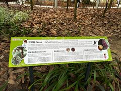 -歌斐颂巧克力小镇