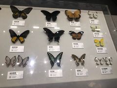 -四川大学博物馆