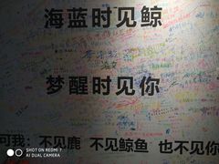 -厦门失恋博物馆(中华城店)