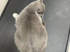 -悠尼宠物·独立低压伊珊娜洗护·美容·寄养(兰谷路店)