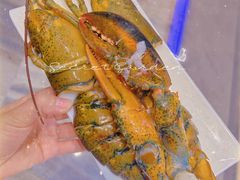 -东方红海鲜百汇(国际大厦店)