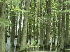 -东湖落雁景区