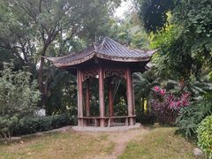 -海珠湖公园