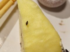 -言玖鲜火锅串串披萨自助(益田假日店)