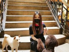 -more than meow吴止猫主题餐厅(承德 中船汇店)