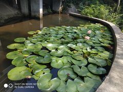 -南京市无想山景区