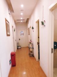 -魔型社