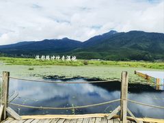 -腾冲北海湿地