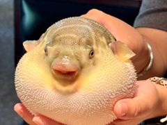 -永安鱼庄·镇江菜(东吴路店)