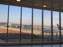 -米兰马尔彭萨国际机场