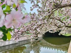 -海棠花溪(元大都城垣遗址公园)