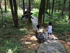 -象山森林公园