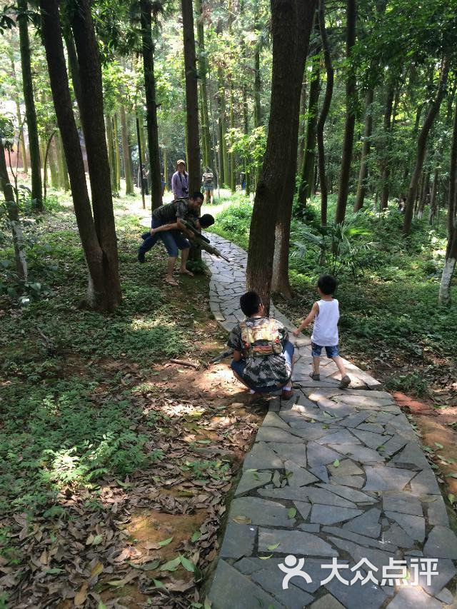 象山森林公园野战图片-北京公园-大众点评网