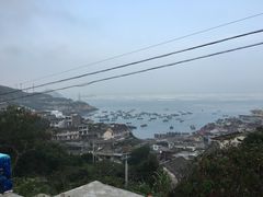 -枸杞岛