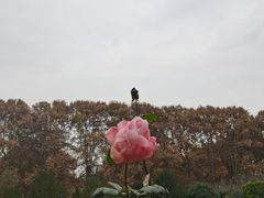 -河南省黄河迎宾馆