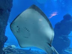 -成都浩海立方海洋公园