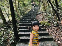 -白云源风景区