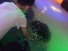 -华夏文旅海洋公园