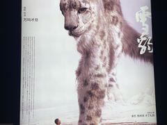 -中国美术学院-美术馆