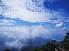 -梧桐山风景名胜区