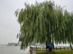 -湖南东洞庭湖国家级自然保护区