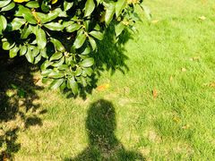 -上海市龙华烈士陵园