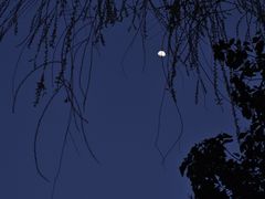 -天鹅湖体育公园