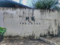-几荷·恰似故人来(秀水广场店)