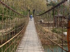 -合肥滨湖国家森林公园