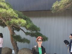 -罗红摄影艺术馆