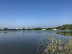 -大兴滨河森林公园