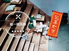 -瞄一喵猫咖(格力海岸店)