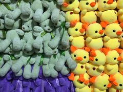 -小象猛犸(炫地购物中心店)